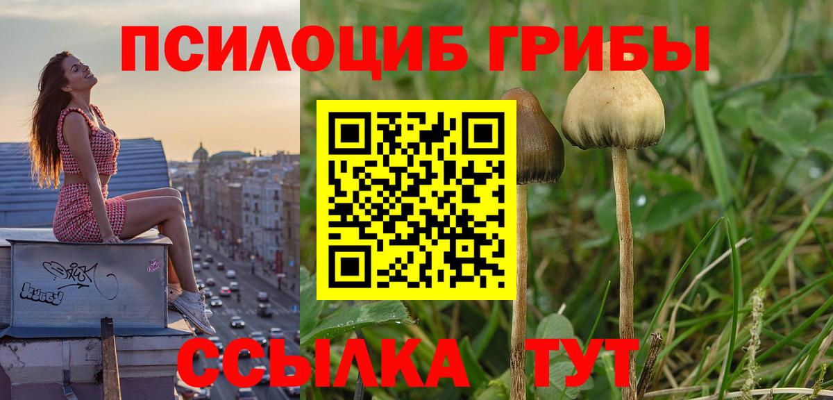 Галлюциногенные грибы мухоморы  закладка  Кунгур 