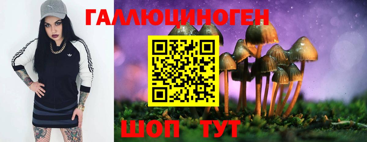 как найти   Вход с VPN  Кунгур  Галлюциногенные грибы Cubensis 